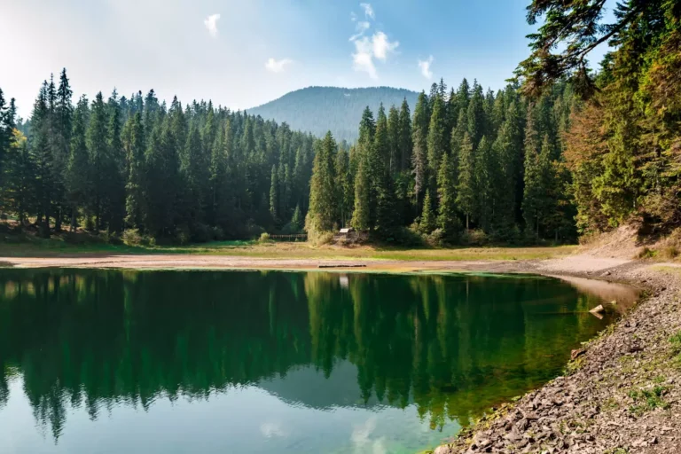 синевір